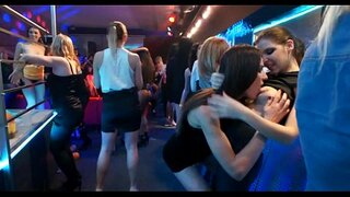 Бал аарыларын жана аңдын жапайы муктаждыктарын козгоо